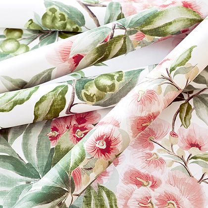 Anna French Camellia Garden Wallpaper in Spring on White